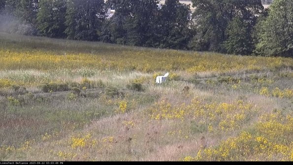 Cell 2 to 3_23-09-22_15-03-49-76