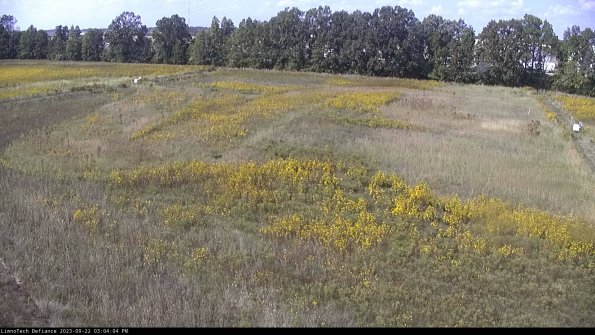 Cell 3_23-09-22_15-04-04-70