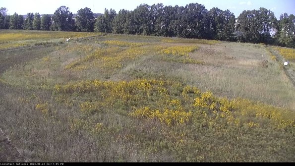 Cell 3_23-09-22_16-11-05-71