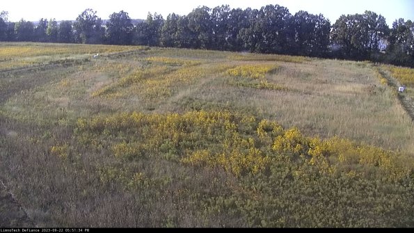 Cell 3_23-09-22_17-51-34-97