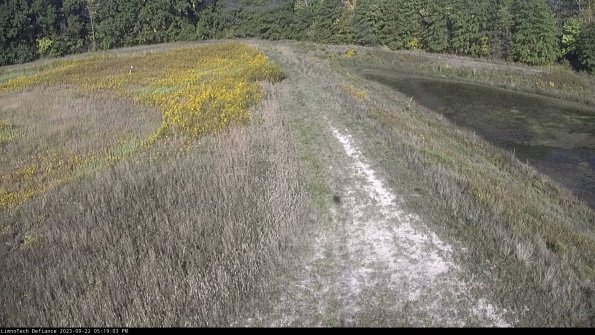 Cell 4 to Basin_23-09-22_17-19-03-71