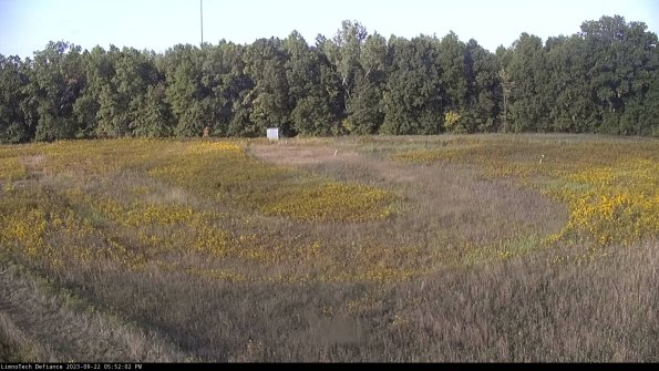 Cell 4_23-09-22_17-52-02-70