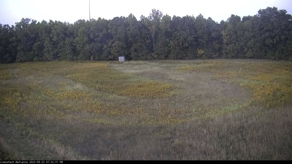 Cell 4_23-09-22_19-32-31-73