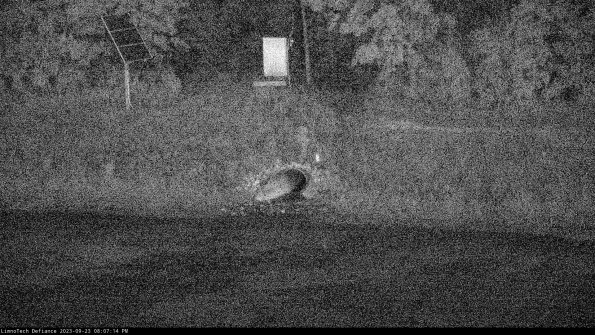 Basin Inflow_23-09-23_20-07-14-72