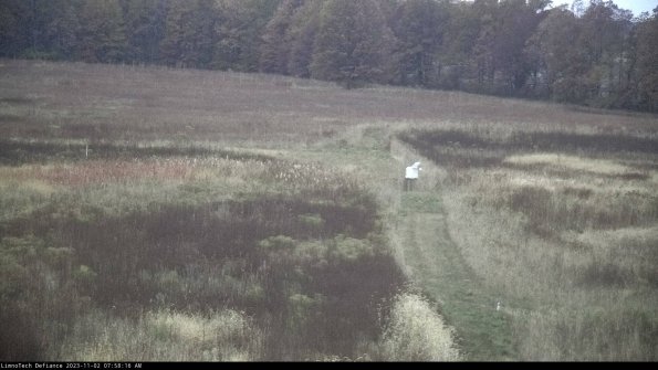 Cell 1 to 2_23-11-02_07-58-16-80