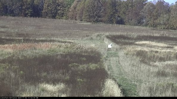 Cell 1 to 2_23-11-02_11-52-43-77