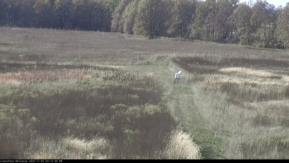 Cell 1 to 2_23-11-02_15-13-40-77