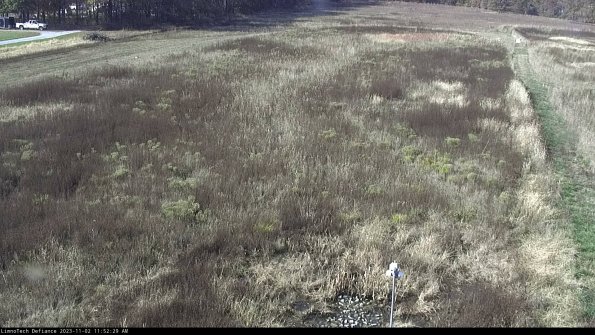 Cell 1_23-11-02_11-52-29-78