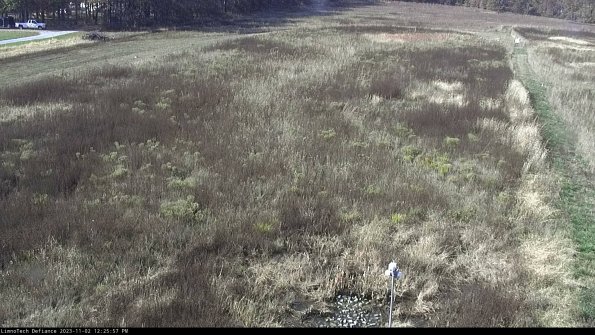 Cell 1_23-11-02_12-25-57-77