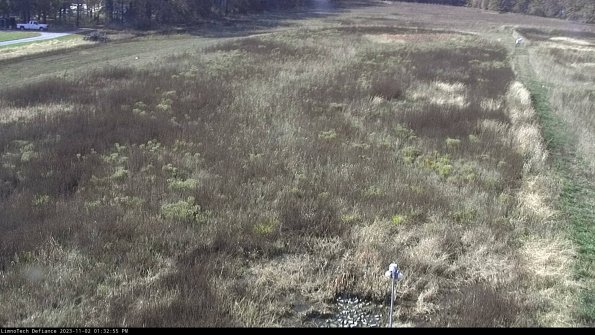 Cell 1_23-11-02_13-32-55-77