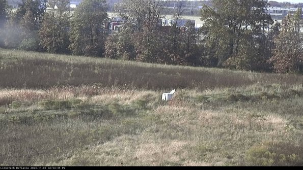 Cell 2 to 3_23-11-02_16-54-35-79