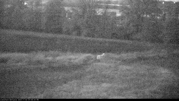 Cell 2 to 3_23-11-02_19-08-33-79