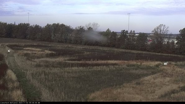 Cell 2_23-11-02_09-38-58-85