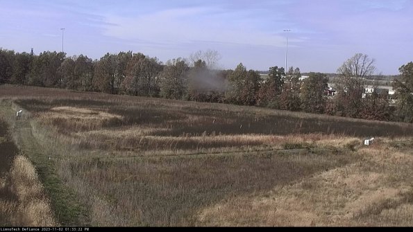 Cell 2_23-11-02_13-33-22-83