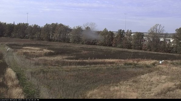 Cell 2_23-11-02_14-40-24-84