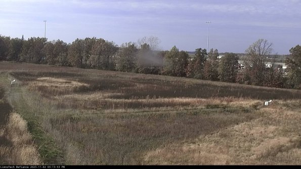 Cell 2_23-11-02_15-13-53-82