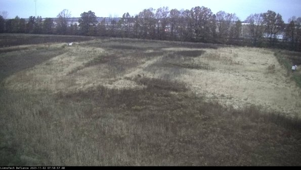 Cell 3_23-11-02_07-58-57-77