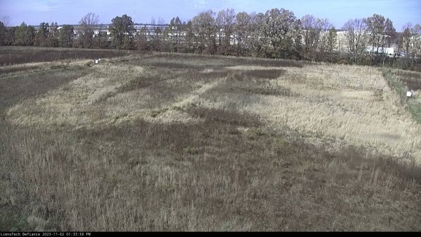 Cell 3_23-11-02_13-33-50-79