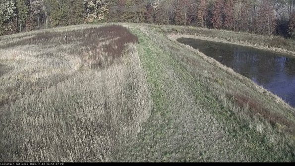 Cell 4 to Basin_23-11-02_16-55-47-80