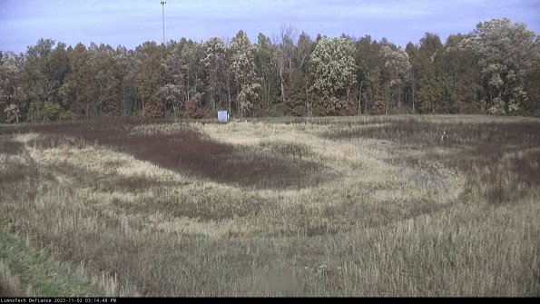 Cell 4_23-11-02_15-14-48-78