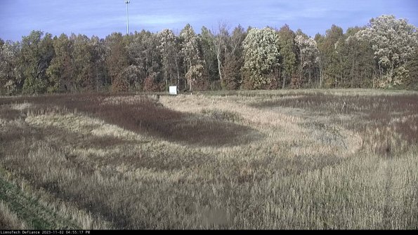 Cell 4_23-11-02_16-55-17-77