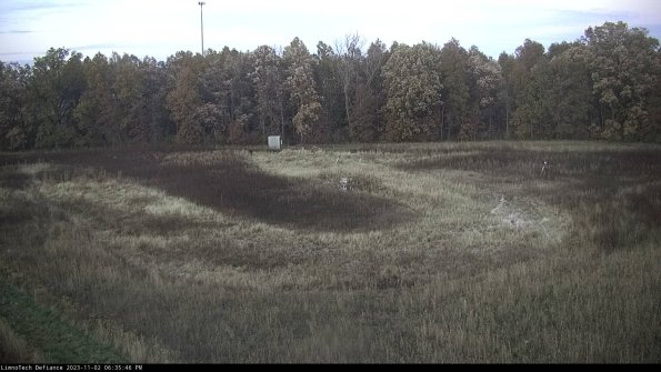 Cell 4_23-11-02_18-35-46-79