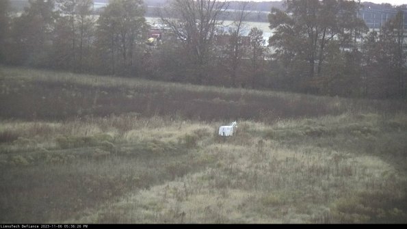 Cell 2 to 3_23-11-06_17-36-26-92