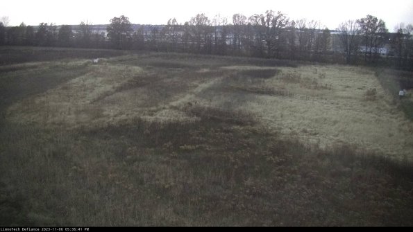 Cell 3_23-11-06_17-36-41-80