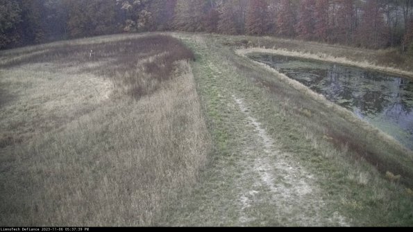 Cell 4 to Basin_23-11-06_17-37-39-79