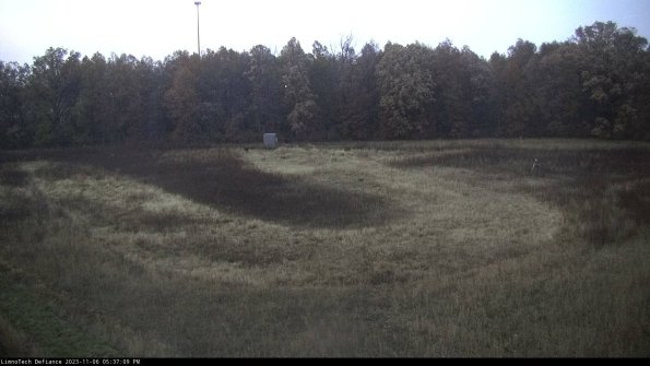 Cell 4_23-11-06_17-37-09-80