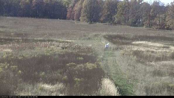 Cell 1 to 2_23-11-07_14-15-20-79