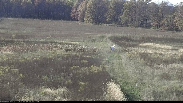 Cell 1 to 2_23-11-07_14-48-50-81