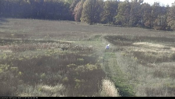 Cell 1 to 2_23-11-07_15-22-20-77