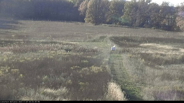 Cell 1 to 2_23-11-07_15-55-49-78