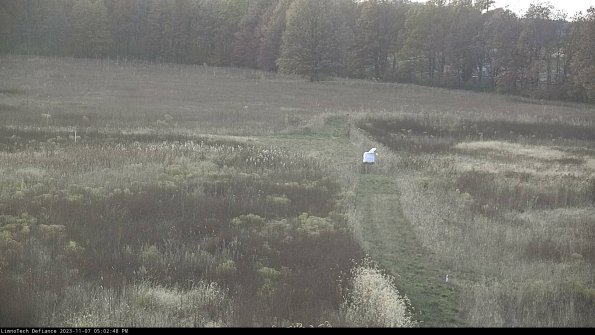 Cell 1 to 2_23-11-07_17-02-48-79