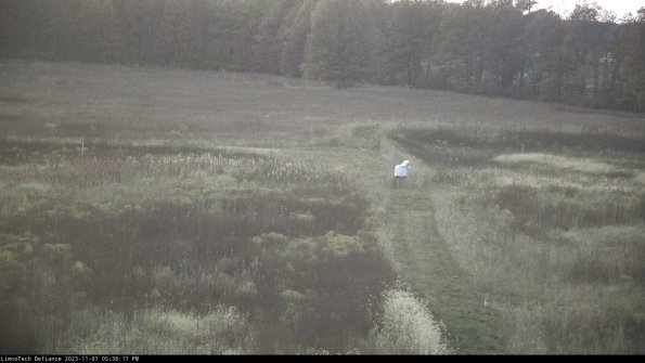 Cell 1 to 2_23-11-07_17-36-17-77