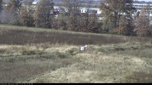 Cell 2 to 3_23-11-07_14-15-46-92