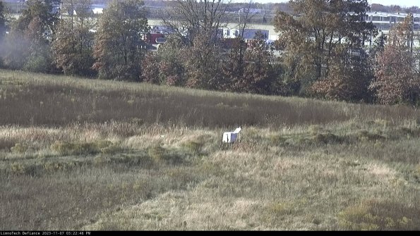 Cell 2 to 3_23-11-07_15-22-46-86