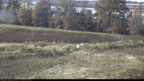 Cell 2 to 3_23-11-07_15-56-15-91