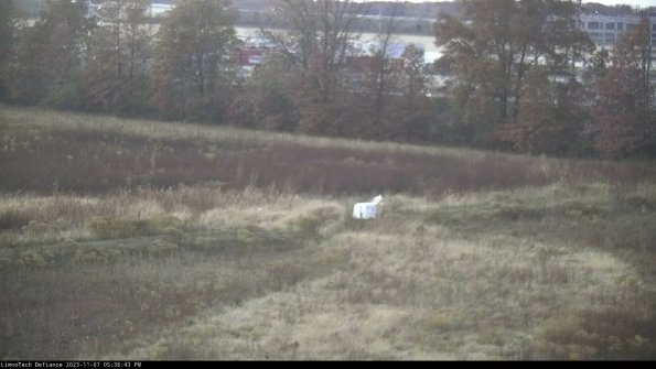 Cell 2 to 3_23-11-07_17-36-43-87