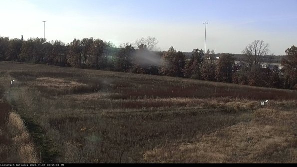 Cell 2_23-11-07_15-56-02-80