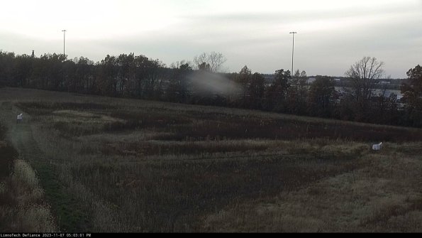 Cell 2_23-11-07_17-03-01-87