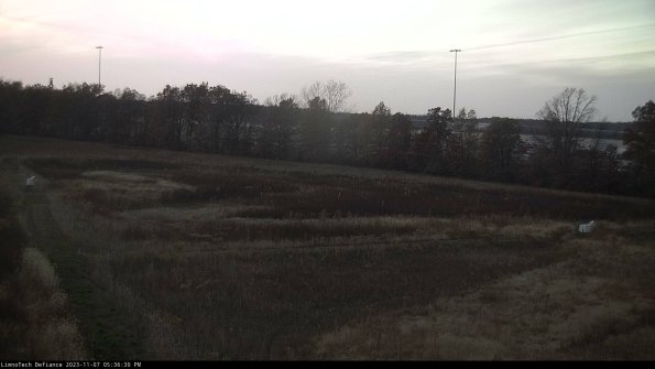 Cell 2_23-11-07_17-36-30-85