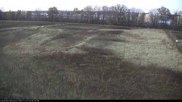 Cell 3_23-11-07_17-03-29-77