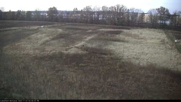 Cell 3_23-11-07_17-36-58-02