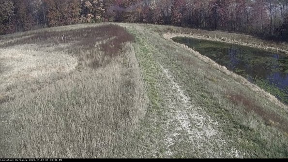 Cell 4 to Basin_23-11-07_13-43-30-77