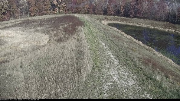 Cell 4 to Basin_23-11-07_14-50-29-78