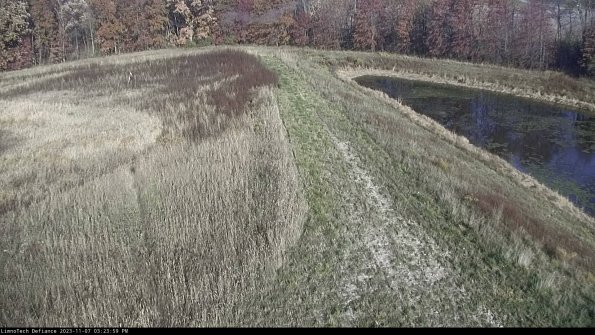 Cell 4 to Basin_23-11-07_15-23-59-80