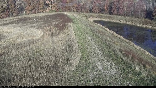 Cell 4 to Basin_23-11-07_15-57-28-82