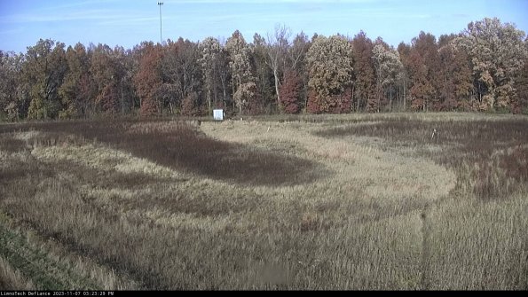 Cell 4_23-11-07_15-23-29-77